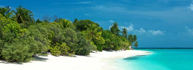 Bild: Strand auf den Malediven